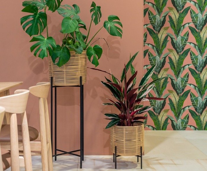 Vivi plant stands